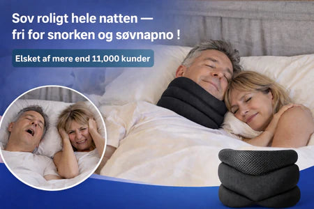 Sektion 4 billede